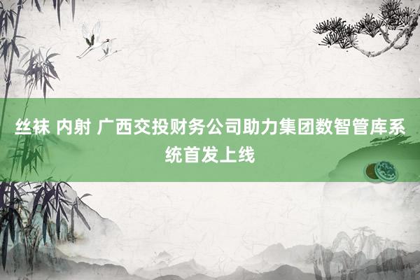 丝袜 内射 广西交投财务公司助力集团数智管库系统首发上线