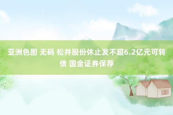 亚洲色图 无码 松井股份休止发不超6.2亿元可转债 国金证券保荐