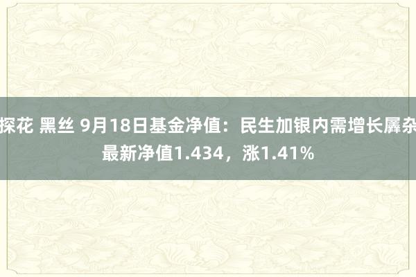 探花 黑丝 9月18日基金净值：民生加银内需增长羼杂最新净值1.434，涨1.41%