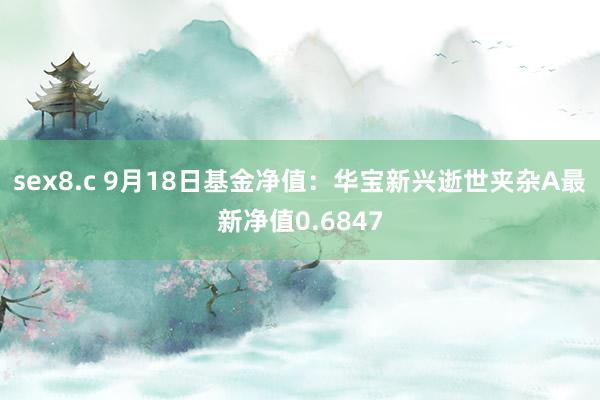 sex8.c 9月18日基金净值：华宝新兴逝世夹杂A最新净值0.6847