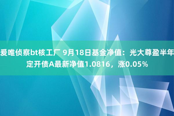 爰唯侦察bt核工厂 9月18日基金净值：光大尊盈半年定开债A最新净值1.0816，涨0.05%