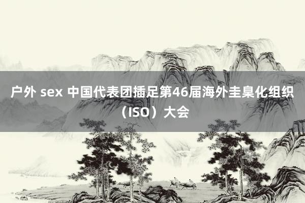 户外 sex 中国代表团插足第46届海外圭臬化组织（ISO）大会