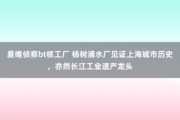 爰唯侦察bt核工厂 杨树浦水厂见证上海城市历史，亦然长江工业遗产龙头