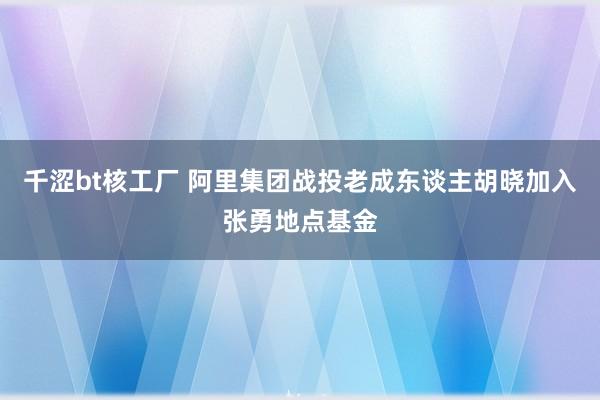 千涩bt核工厂 阿里集团战投老成东谈主胡晓加入张勇地点基金