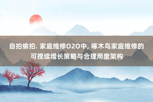 自拍偷拍. 家庭维修O2O中， 啄木鸟家庭维修的可捏续增长策略与合理用度架构