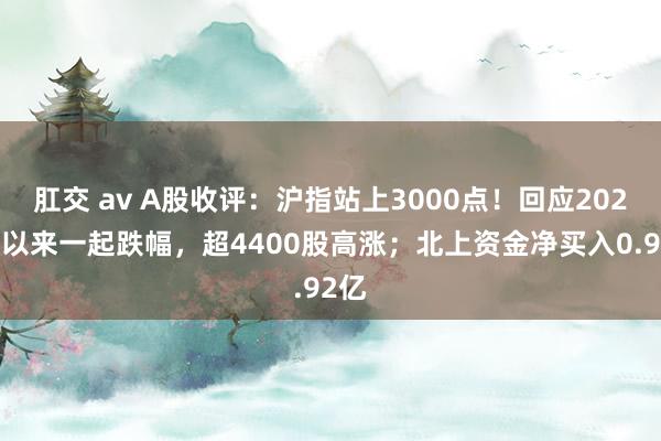 肛交 av A股收评：沪指站上3000点！回应2024年以来一起跌幅，超4400股高涨；北上资金净买入0.92亿