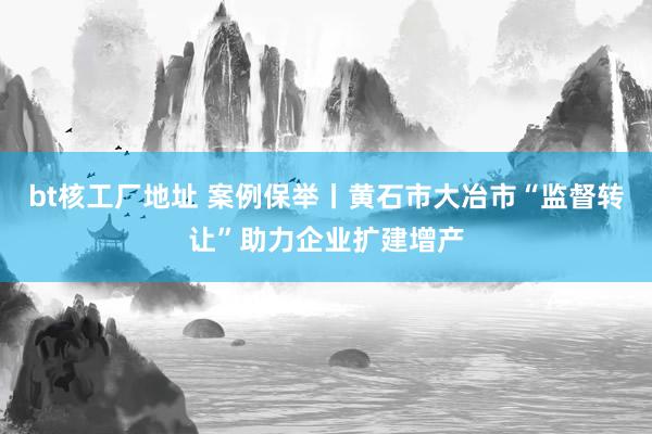 bt核工厂地址 案例保举丨黄石市大冶市“监督转让”助力企业扩建增产