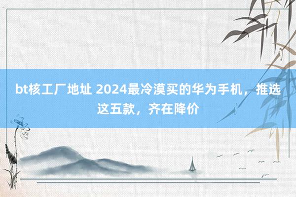 bt核工厂地址 2024最冷漠买的华为手机，推选这五款，齐在降价