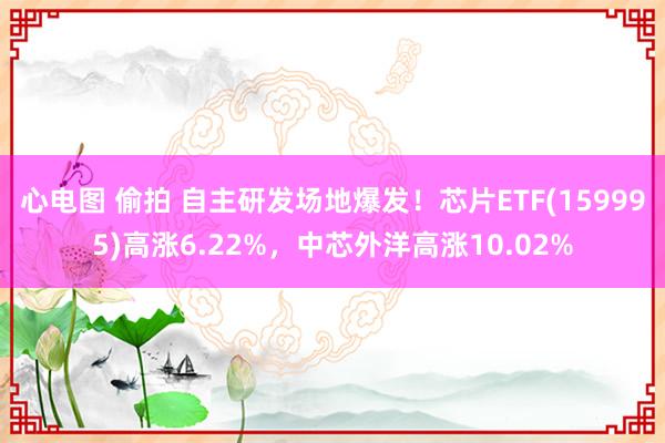 心电图 偷拍 自主研发场地爆发！芯片ETF(159995)高涨6.22%，中芯外洋高涨10.02%