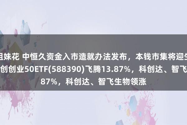 姐妹花 中恒久资金入市造就办法发布，本钱市集将迎生力军，科创创业50ETF(588390)飞腾13.87%，科创达、智飞生物领涨