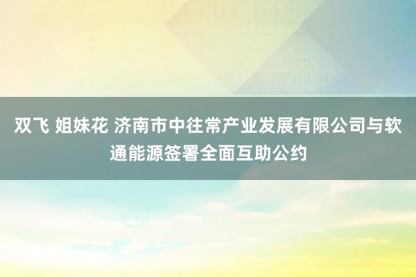 双飞 姐妹花 济南市中往常产业发展有限公司与软通能源签署全面互助公约