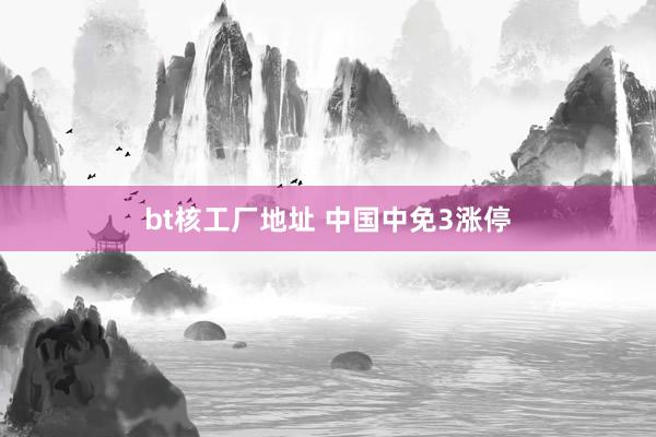 bt核工厂地址 中国中免3涨停