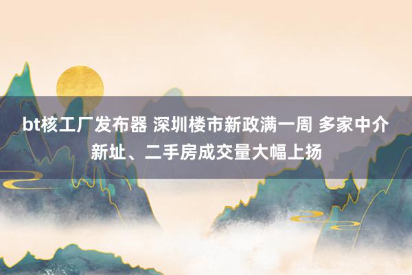 bt核工厂发布器 深圳楼市新政满一周 多家中介新址、二手房成交量大幅上扬