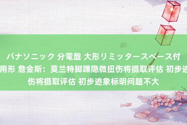 パナソニック 分電盤 大形リミッタースペース付 露出・半埋込両用形 詹金斯：莫兰特脚踝隐微扭伤将摄取评估 初步迹象标明问题不大