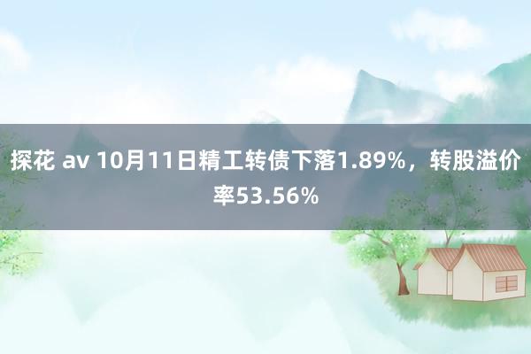 探花 av 10月11日精工转债下落1.89%，转股溢价率53.56%