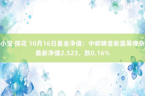 小宝 探花 10月16日基金净值：中邮畴昔新蓝筹搀杂最新净值2.523，跌0.16%