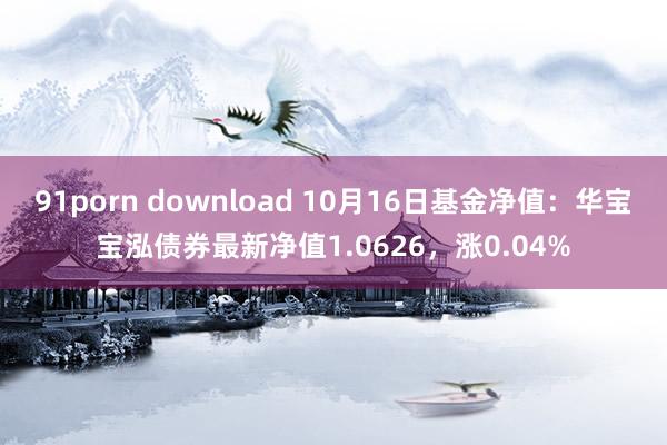 91porn download 10月16日基金净值：华宝宝泓债券最新净值1.0626，涨0.04%