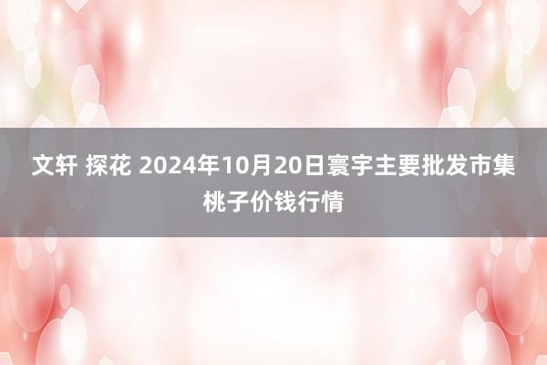 文轩 探花 2024年10月20日寰宇主要批发市集桃子价钱行情