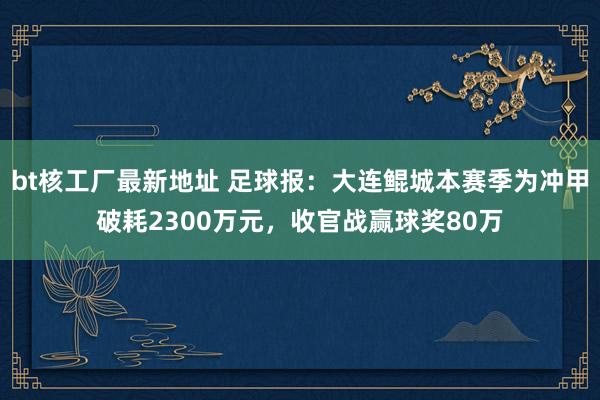 bt核工厂最新地址 足球报：大连鲲城本赛季为冲甲破耗2300万元，收官战赢球奖80万