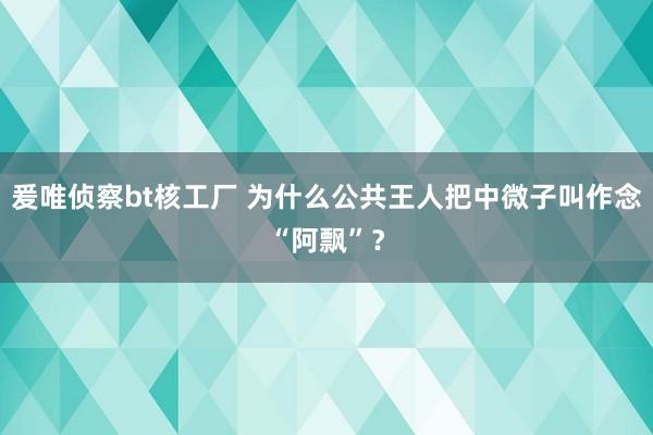 爰唯侦察bt核工厂 为什么公共王人把中微子叫作念“阿飘”？