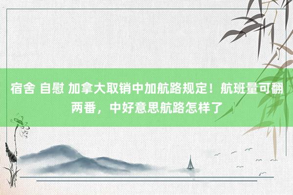 宿舍 自慰 加拿大取销中加航路规定！航班量可翻两番，中好意思航路怎样了