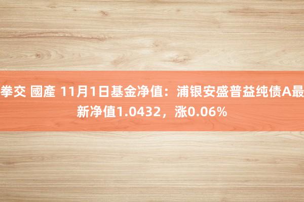 拳交 國產 11月1日基金净值：浦银安盛普益纯债A最新净值1.0432，涨0.06%