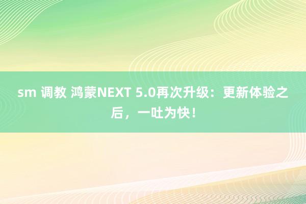 sm 调教 鸿蒙NEXT 5.0再次升级：更新体验之后，一吐为快！