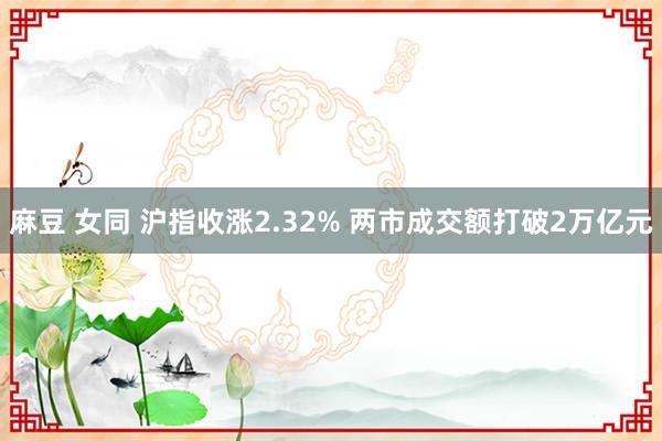 麻豆 女同 沪指收涨2.32% 两市成交额打破2万亿元