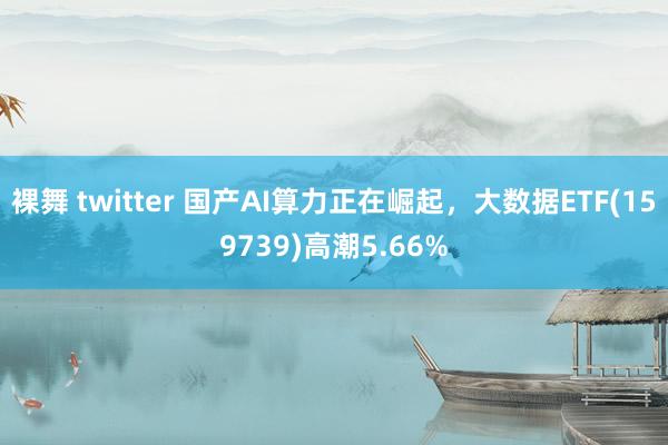 裸舞 twitter 国产AI算力正在崛起，大数据ETF(159739)高潮5.66%