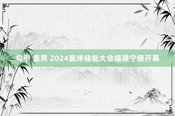 勾引 直男 2024寰球储能大会福建宁德开幕