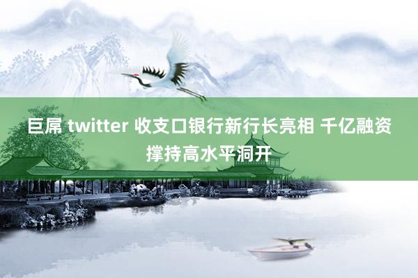 巨屌 twitter 收支口银行新行长亮相 千亿融资撑持高水平洞开