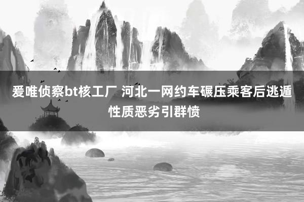 爰唯侦察bt核工厂 河北一网约车碾压乘客后逃遁 性质恶劣引群愤