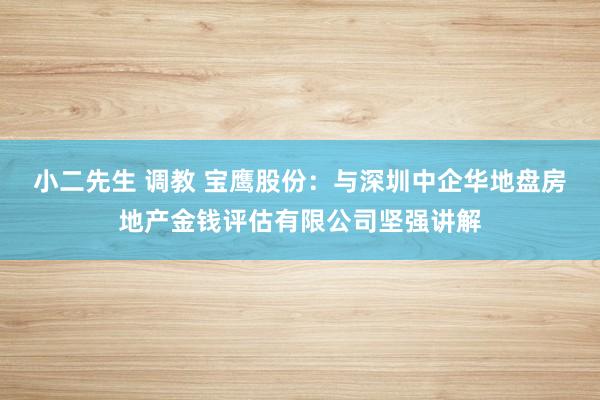 小二先生 调教 宝鹰股份：与深圳中企华地盘房地产金钱评估有限公司坚强讲解