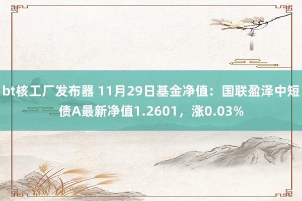 bt核工厂发布器 11月29日基金净值：国联盈泽中短债A最新净值1.2601，涨0.03%