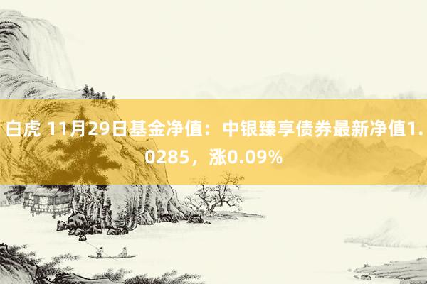 白虎 11月29日基金净值：中银臻享债券最新净值1.0285，涨0.09%