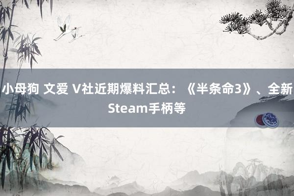 小母狗 文爱 V社近期爆料汇总：《半条命3》、全新Steam手柄等