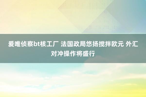 爰唯侦察bt核工厂 法国政局悠扬搅拌欧元 外汇对冲操作将盛行