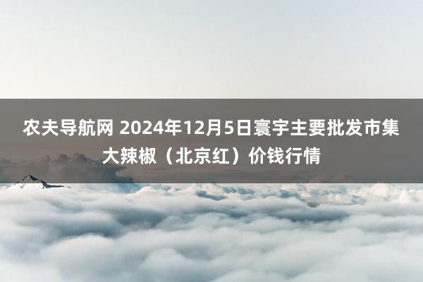 农夫导航网 2024年12月5日寰宇主要批发市集大辣椒（北京红）价钱行情