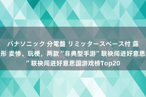 パナソニック 分電盤 リミッタースペース付 露出・半埋込両用形 卖惨、玩梗，两款“非典型手游”联袂闯进好意思国游戏榜Top20