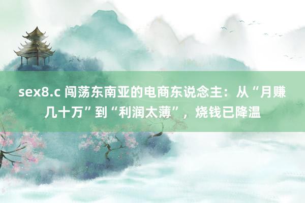 sex8.c 闯荡东南亚的电商东说念主：从“月赚几十万”到“利润太薄”，烧钱已降温