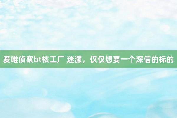 爰唯侦察bt核工厂 迷濛，仅仅想要一个深信的标的