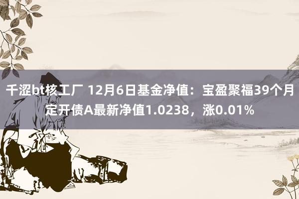 千涩bt核工厂 12月6日基金净值：宝盈聚福39个月定开债A最新净值1.0238，涨0.01%