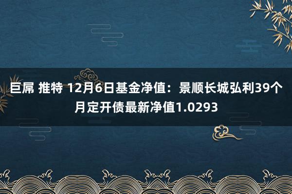 巨屌 推特 12月6日基金净值：景顺长城弘利39个月定开债最新净值1.0293