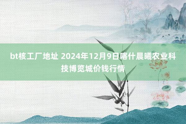 bt核工厂地址 2024年12月9日喀什晨曦农业科技博览城价钱行情