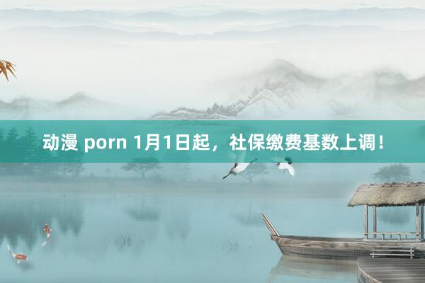 动漫 porn 1月1日起，社保缴费基数上调！