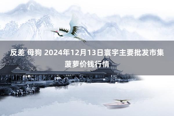 反差 母狗 2024年12月13日寰宇主要批发市集菠萝价钱行情