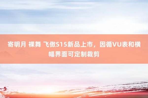 寄明月 裸舞 飞傲S15新品上市，因循VU表和横幅界面可定制裁剪