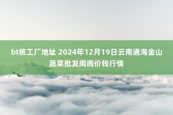 bt核工厂地址 2024年12月19日云南通海金山蔬菜批发阛阓价钱行情