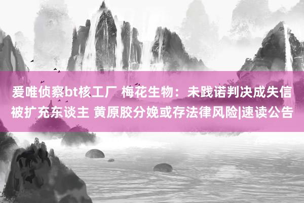 爰唯侦察bt核工厂 梅花生物：未践诺判决成失信被扩充东谈主 黄原胶分娩或存法律风险|速读公告