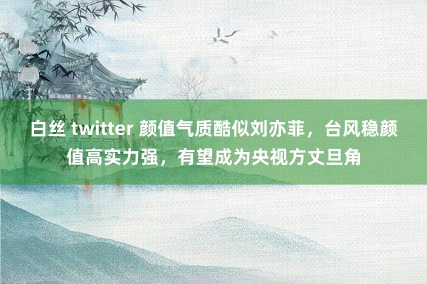 白丝 twitter 颜值气质酷似刘亦菲，台风稳颜值高实力强，有望成为央视方丈旦角